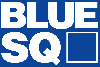 blue square bluesq - 100